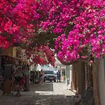 Kostas 2
